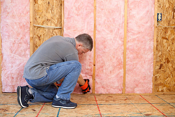 Best Insulation Repair Services  in Paramus, NJ