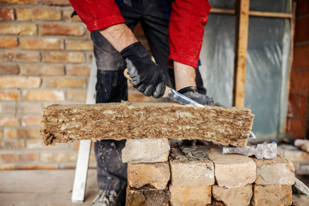 Best Insulation Contractor Near Me  in Paramus, NJ
