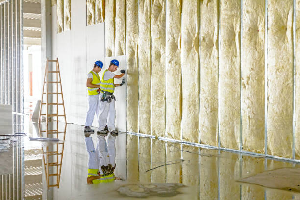 Best Insulation Replacement Services  in Paramus, NJ